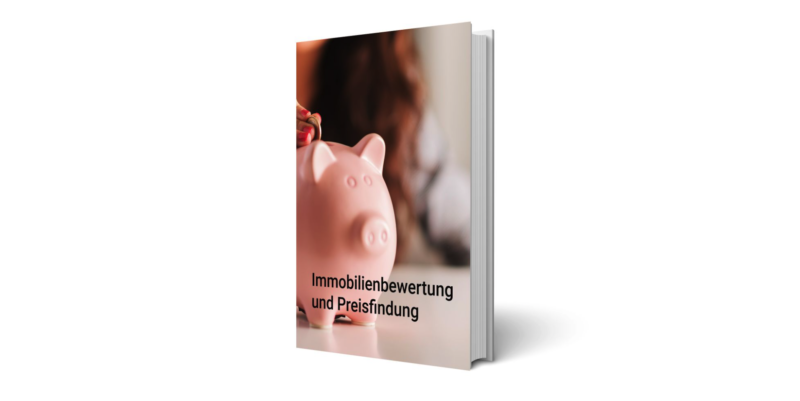 https://pace.immo/wp-content/uploads/2019/05/immobilienbewertung-und-preisfindung-modern-e1707908693237.png